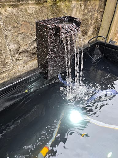 The Electrical Compliance Collective Ltd — Customer photo